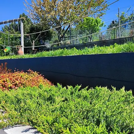 La Cigarrita - Douro Valley 度假居 *