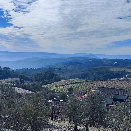 La Cigarrita - Douro Valley