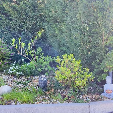 度假居 La Cigarrita - Douro Valley *