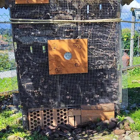 La Cigarrita - Douro Valley *