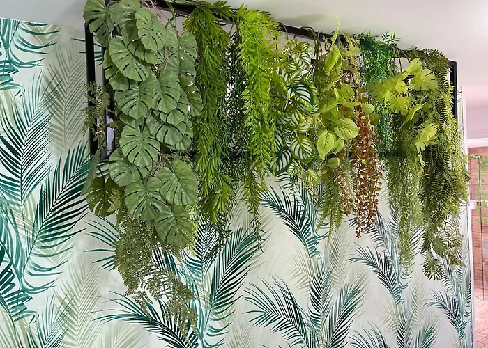 La Cigarrita - Douro Valley Hébergement de vacances *