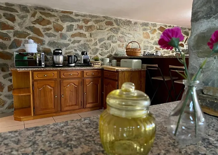 Feriehus La Cigarrita - Douro Valley