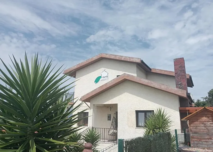 La Cigarrita - Douro Valley Tatil Evi