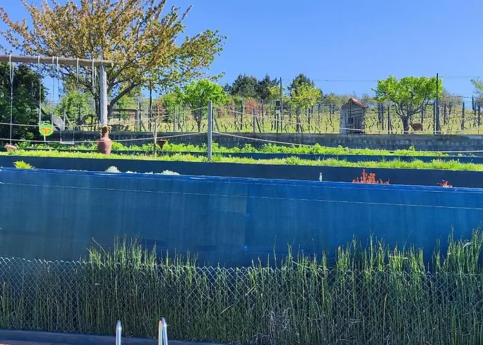 La Cigarrita - Douro Valley *