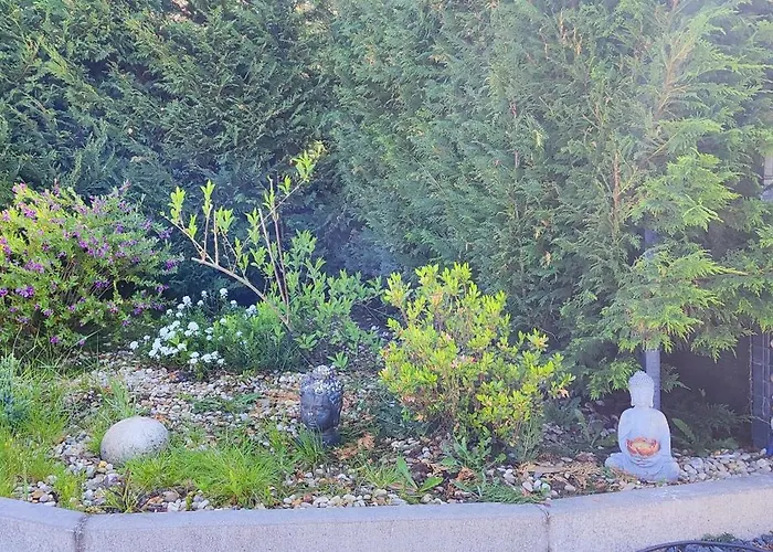 Ferienhaus La Cigarrita - Douro Valley *