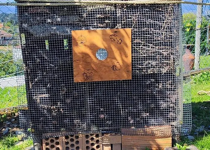 La Cigarrita - Douro Valley *